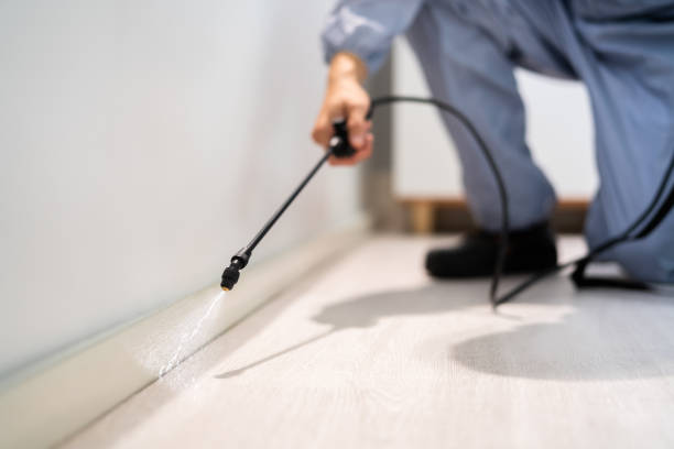 Licensed Pest Control service in Huxley, IA - Show Me Pest Control